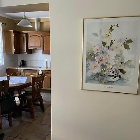 Apartamenty Jaskinia Solna ルダ・シロンスカ エクステリア 写真