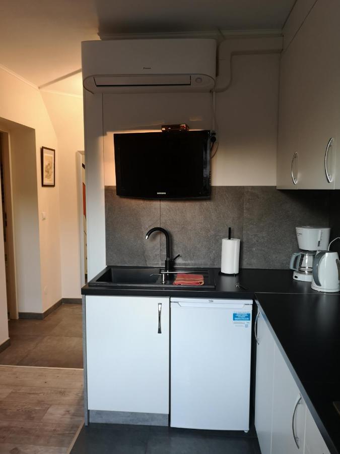 Apartamenty Jaskinia Solna ルダ・シロンスカ エクステリア 写真