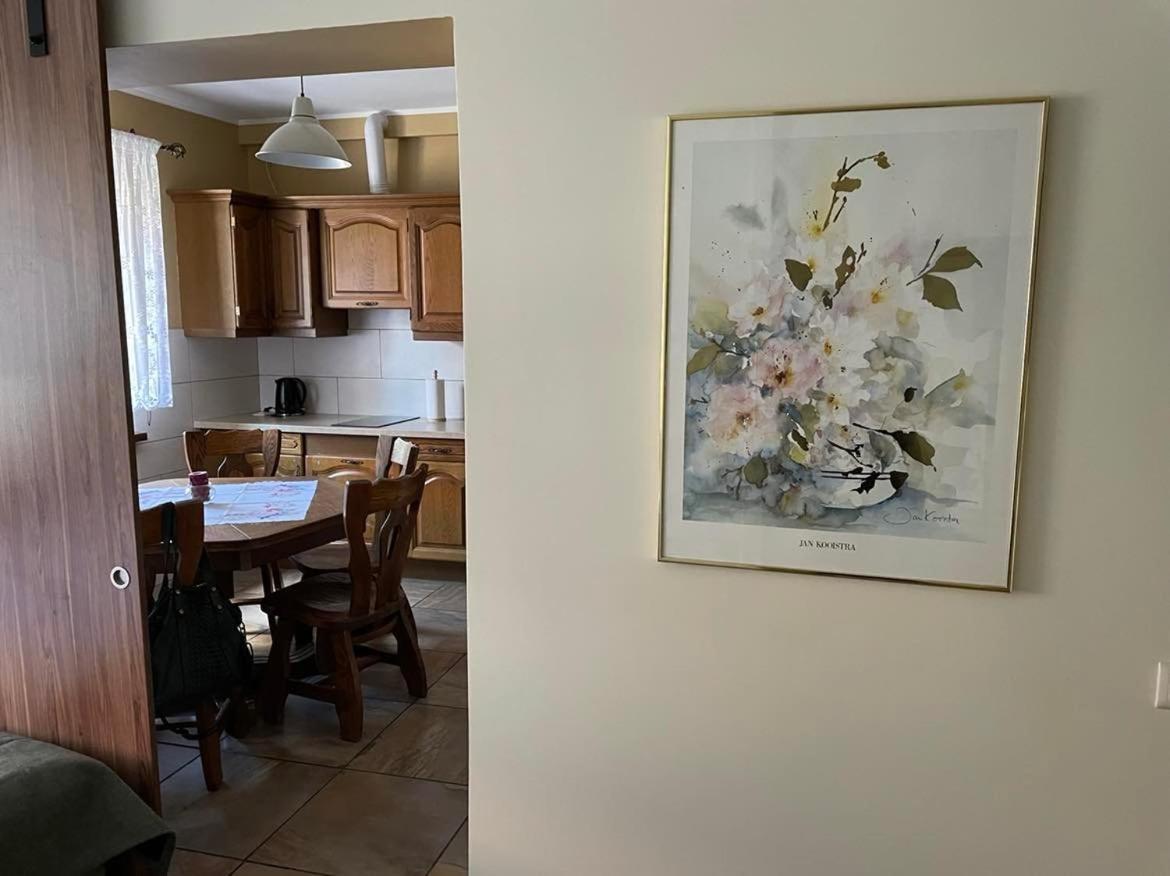 Apartamenty Jaskinia Solna ルダ・シロンスカ エクステリア 写真