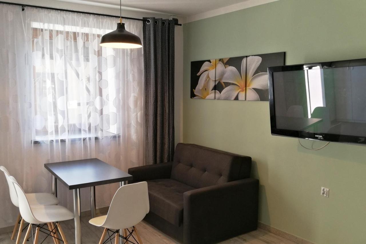 Apartamenty Jaskinia Solna ルダ・シロンスカ エクステリア 写真