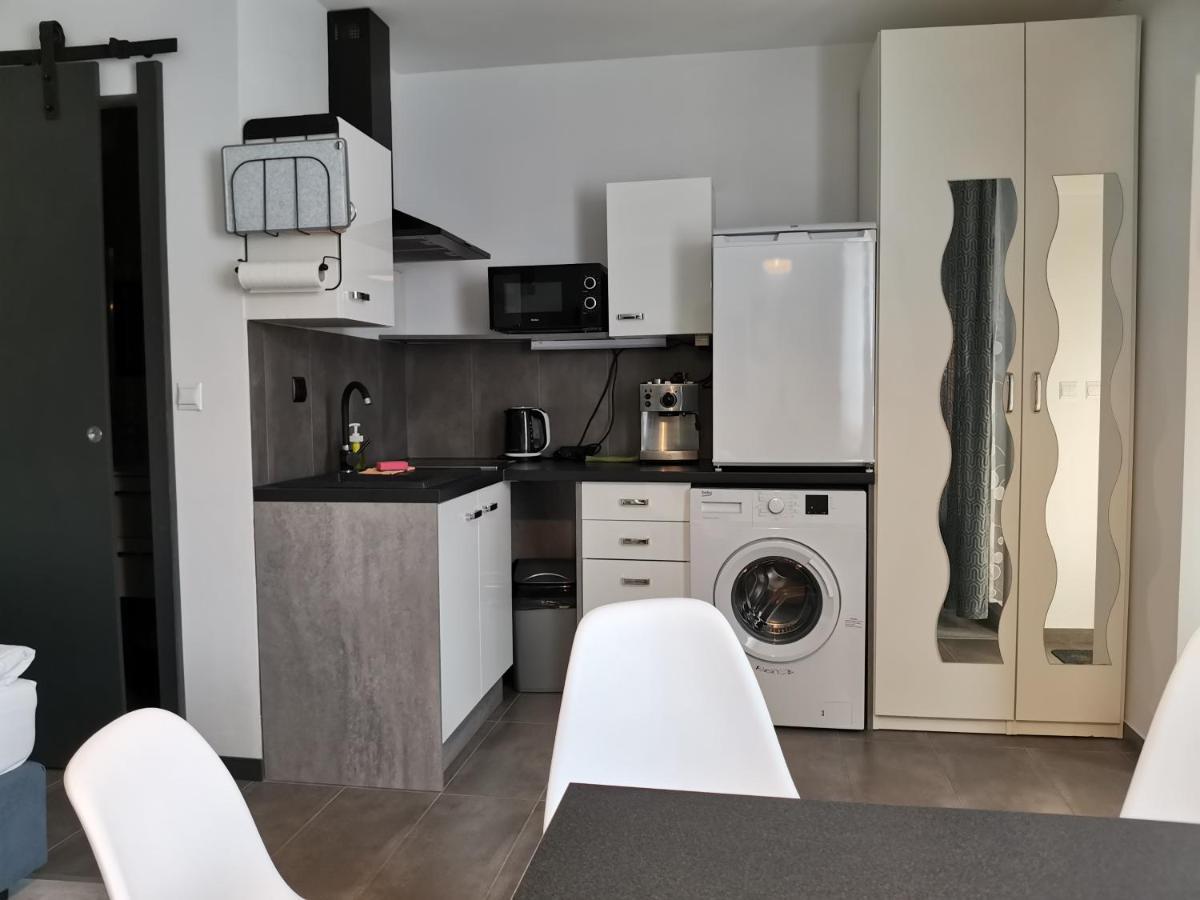 Apartamenty Jaskinia Solna ルダ・シロンスカ エクステリア 写真