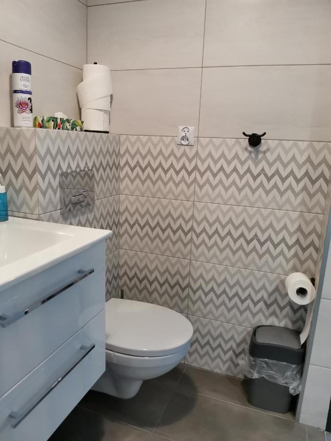 Apartamenty Jaskinia Solna ルダ・シロンスカ エクステリア 写真