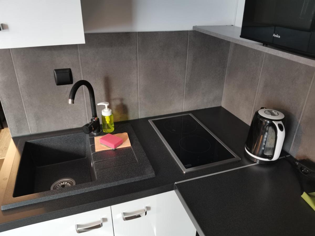 Apartamenty Jaskinia Solna ルダ・シロンスカ エクステリア 写真