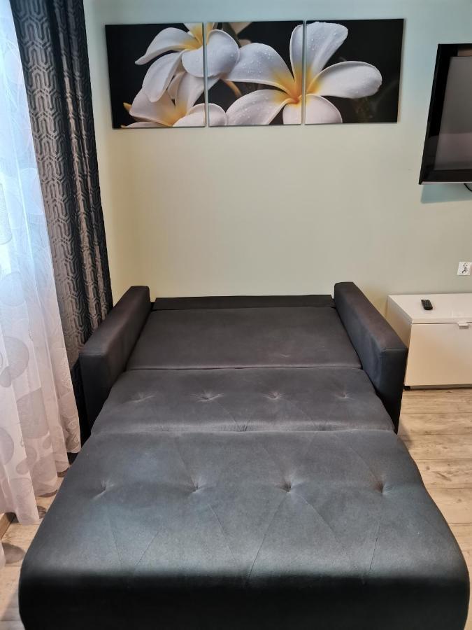Apartamenty Jaskinia Solna ルダ・シロンスカ エクステリア 写真